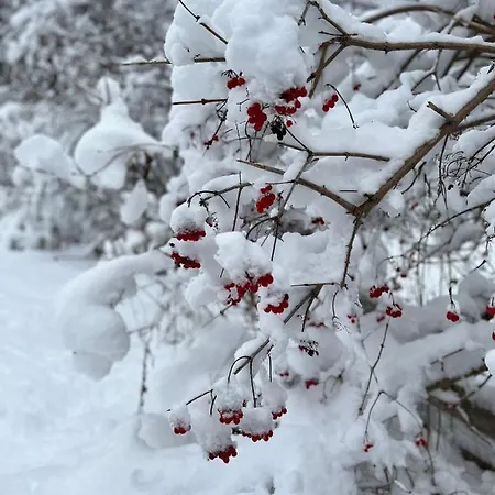 Stille Nacht Dom wakacyjny *