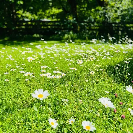 Haus Stille Nacht * Wagrain