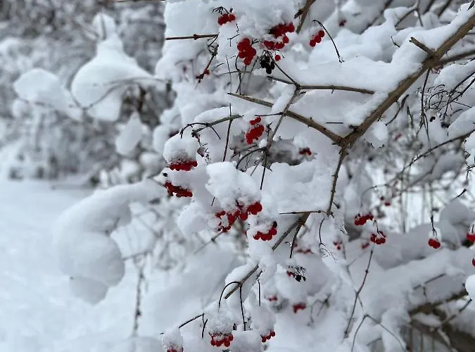 Stille Nacht 度假居 *