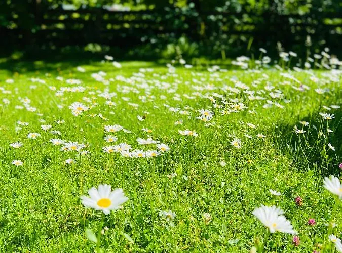 Stille Nacht * 瓦格赖恩